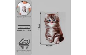 7339262 термотрансфер котёнок 11,6*19см, упак/1шт бс купить по 89 - в интернет - магазине Веллтекс | Новосибирск
.